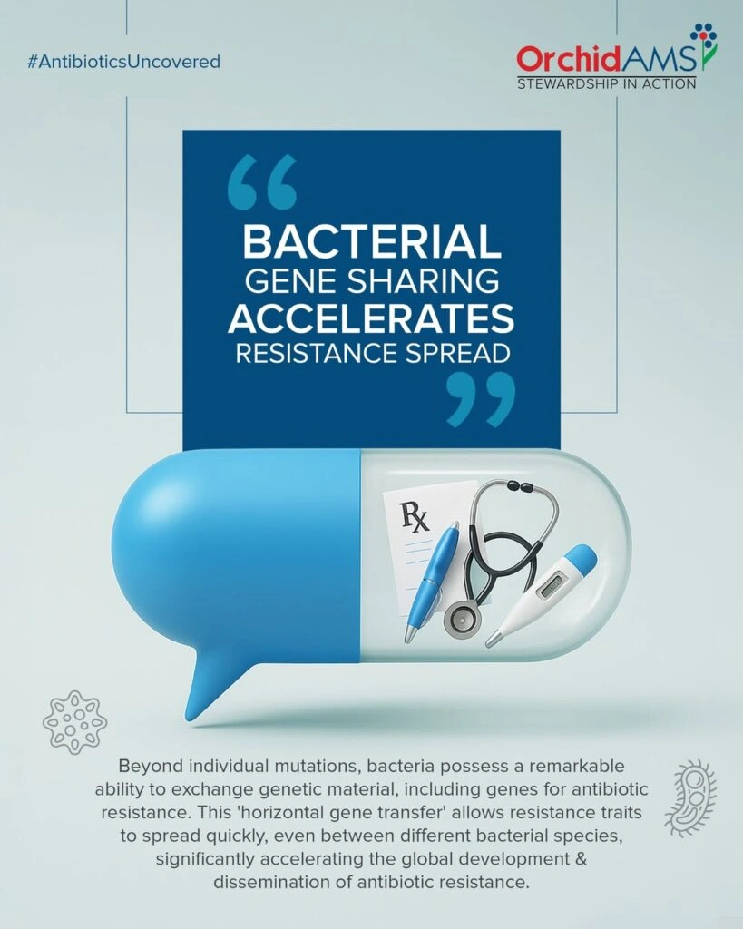 Bacterial gene sharing accelerates the spread of antibiotic resistance