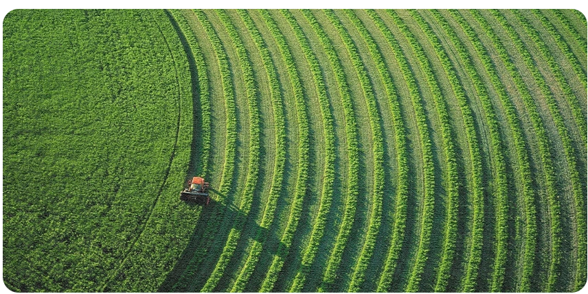 Modern farming practices across a large green crop field